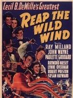 野風[席慕容所作詩歌]