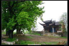 福主廟村 福主廟村