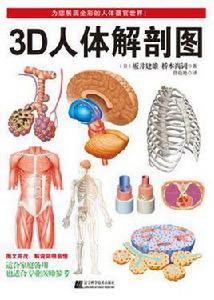 3D人體解剖圖