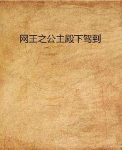 網王之公主殿下駕到 網王之公主殿下駕到