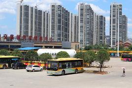 呆鷹嶺鎮 呆鷹嶺鎮