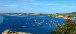 長山群島國家海島森林公園 長山群島國家海島森林公園