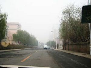 金達萊家園 金達萊家園