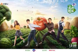 哈哈農夫[國內首檔沉浸式鄉村人文體驗真人秀]