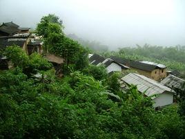 三楞村委會 三楞村委會