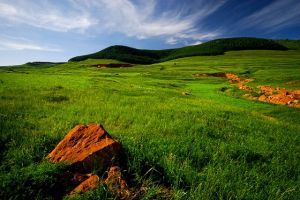 （圖）空中草園