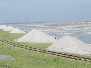 萊州灣鹽場