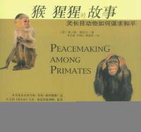猴猩猩的故事 猴猩猩的故事
