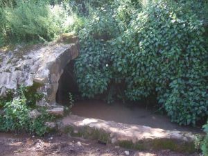 荃麻箐村 荃麻箐村