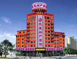 吉林市鳳凰婦產醫院 吉林市鳳凰婦產醫院