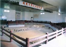 新石器文化遺存曇石山遺址