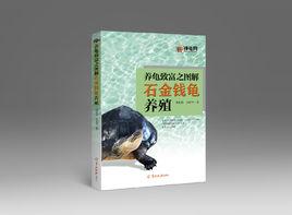 養龜致富之圖解石金錢龜養殖 養龜致富之圖解石金錢龜養殖