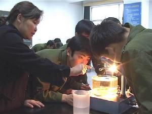 安泰效應 集體實驗