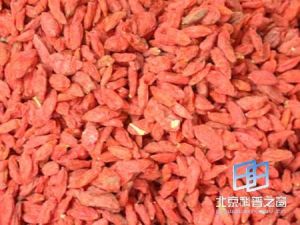 維生素B1缺乏神經病