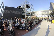 哈雷[哈雷戴維森公司]