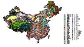 土壤系統分類 土壤系統分類