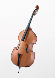 低音提琴