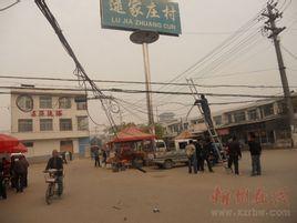 逯家莊村[山東省膠南市珠海街道辦事處下轄村]