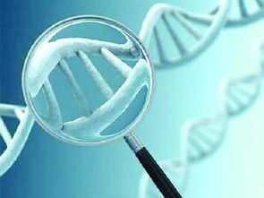 融合基因 融合基因