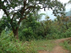 小等自然村 小等自然村