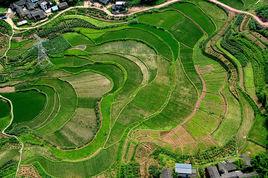 先鋒鎮[重慶市江津區先鋒鎮]