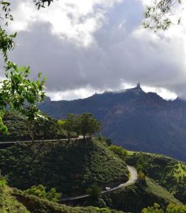 大加那利島 大加那利島
