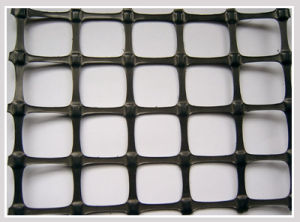 泰安市國富苗木種植經銷合作社 泰安市國富苗木種植經銷合作社