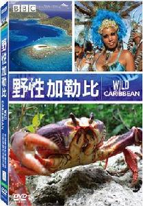 野性加勒比 野性加勒比