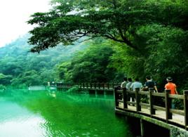 碧潭幽谷 碧潭幽谷