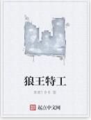 狼王特工 狼王特工