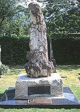 2000年修復的華萊士墓，上為木化石。