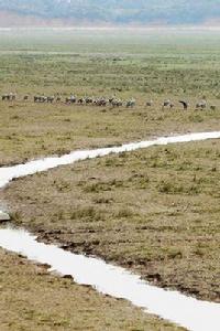 白鹿鎮[廬山市下轄鎮]