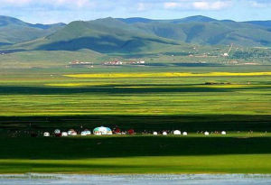 沽源塞外莊園 沽源塞外莊園