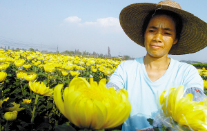 汾陽市賈家莊生態農業園