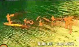 走向金海岸 走向金海岸