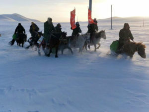 2·17青海玉樹雪災 2·17青海玉樹雪災