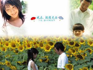 現在，很想見你