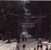 東照神宮 東照神宮