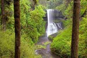 麥金萊瀑布州立公園 麥金萊瀑布州立公園