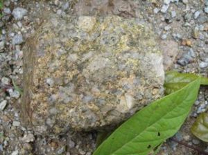 南嶺成礦帶 南嶺成礦帶