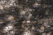 Nst[人格心理學]