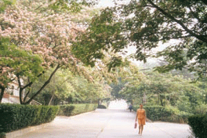 徐州建築職業技術學院