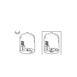 對照實驗 對照實驗