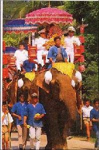 與象共舞 與象共舞