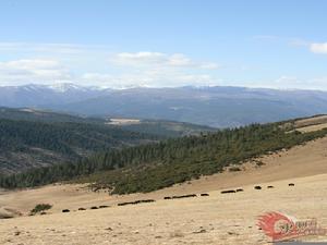 徐家鎮[山東省乳山市]