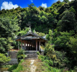 清靜寡慾 清靜寡慾