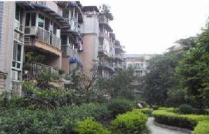 聚賢花園 聚賢花園