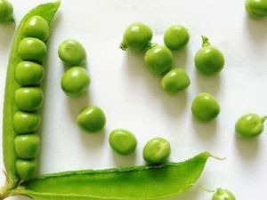 蔬菜厭食症 蔬菜厭食症