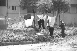 胡玉堂[浙江省第五、六屆人大代表]