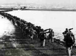 官垈里西無名高地戰鬥